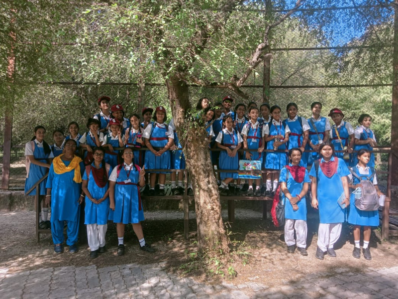 The State Forestry Competition at Nahargarh Biodiversity Reserve